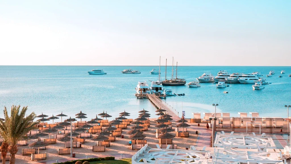 الفندق الباتروس وايت بيتش ريزورت - الغردقة